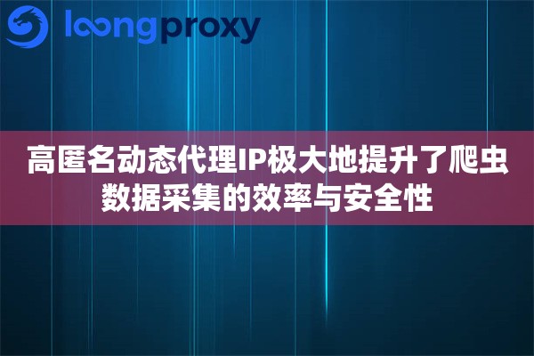 高匿名动态代理IP极大地提升了爬虫数据采集的效率与安全性