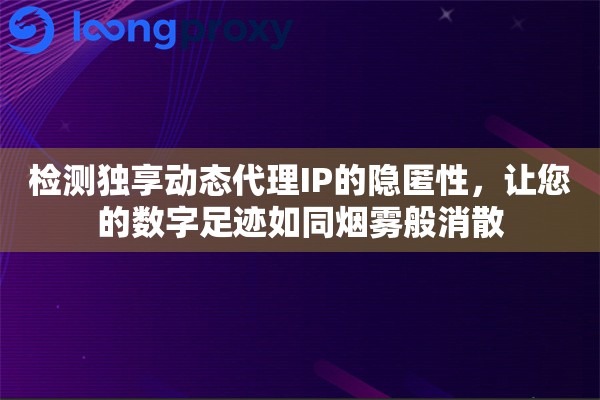 检测独享动态代理IP的隐匿性，让您的数字足迹如同烟雾般消散