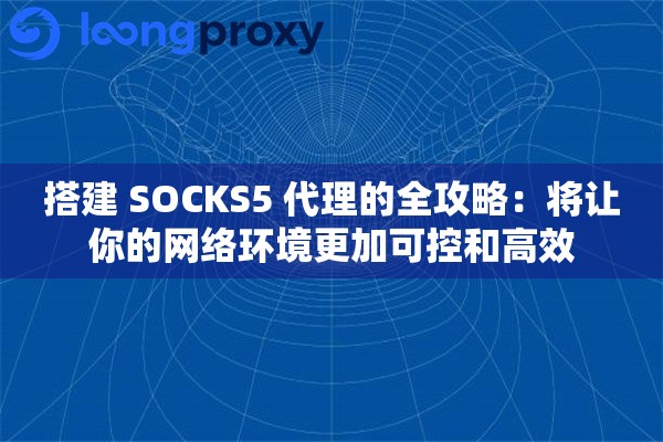 搭建 SOCKS5 代理的全攻略：将让你的网络环境更加可控和高效