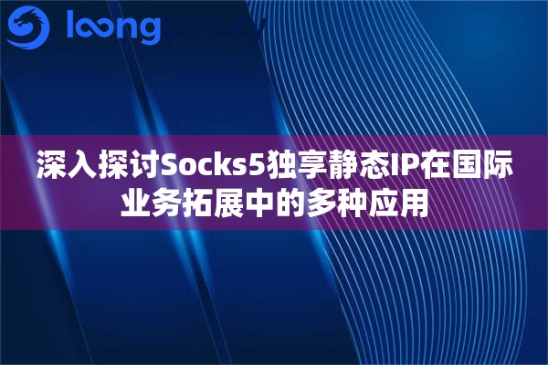 深入探讨Socks5独享静态IP在国际业务拓展中的多种应用