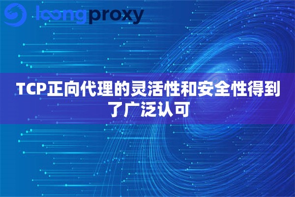 TCP正向代理的灵活性和安全性得到了广泛认可