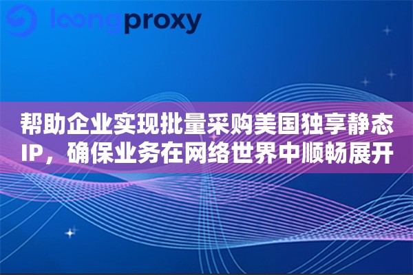 帮助企业实现批量采购美国独享静态IP，确保业务在网络世界中顺畅展开