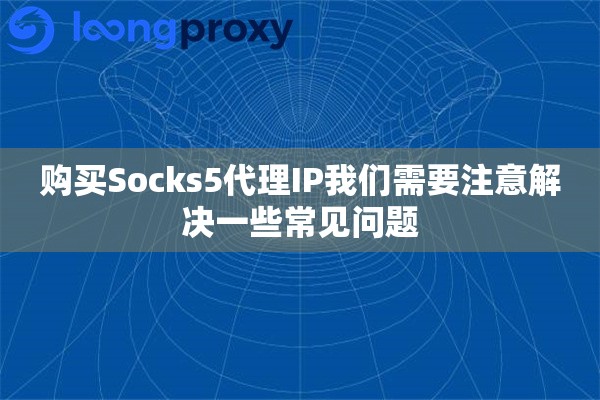 购买Socks5代理IP我们需要注意解决一些常见问题