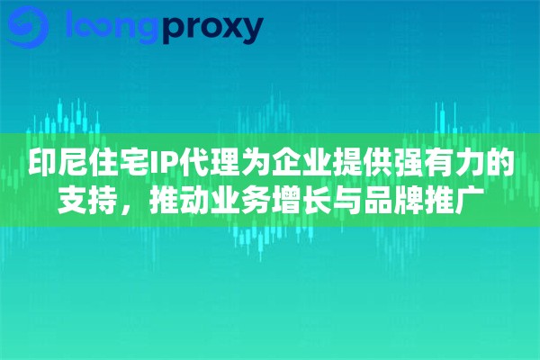 印尼住宅IP代理为企业提供强有力的支持，推动业务增长与品牌推广