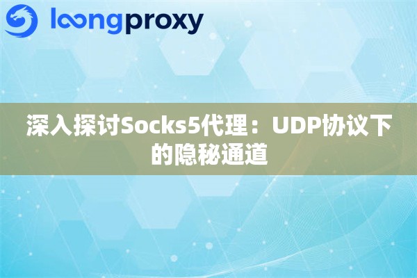 深入探讨Socks5代理：UDP协议下的隐秘通道