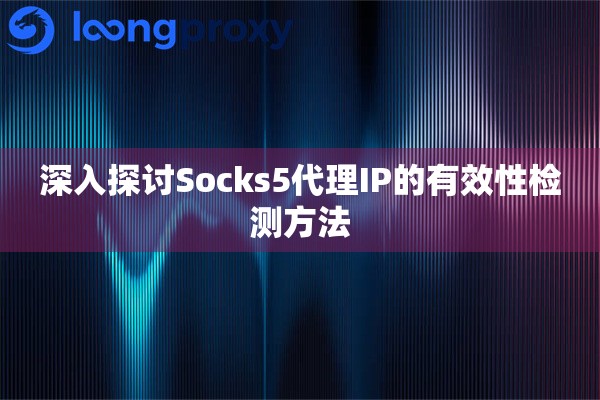 深入探讨Socks5代理IP的有效性检测方法