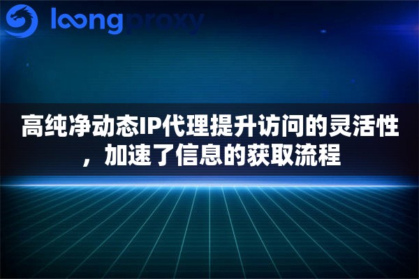 高纯净动态IP代理提升访问的灵活性，加速了信息的获取流程