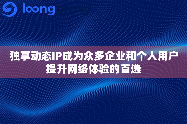 独享动态IP成为众多企业和个人用户提升网络体验的首选