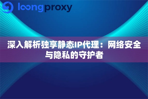 深入解析独享静态IP代理：网络安全与隐私的守护者