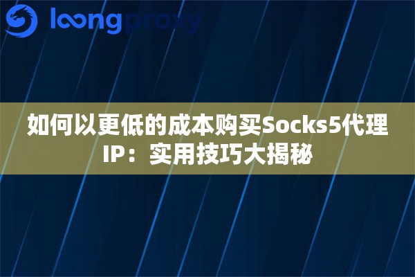 如何以更低的成本购买Socks5代理IP：实用技巧大揭秘